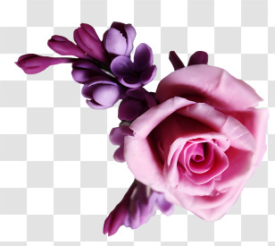 Blumen - Pink Rose And Purple Flower Design Transparent PNG