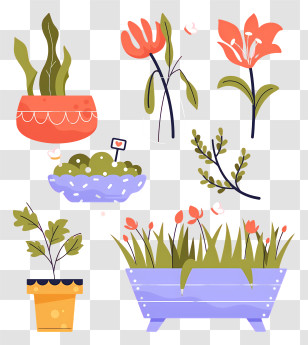Plants - Various Flower Pots Transparent PNG