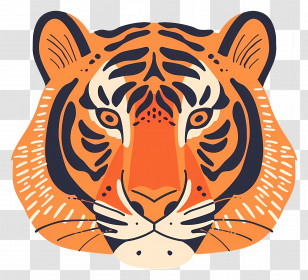 Tiger Head - Tiger Face Illustration With Striking Colors Transparent PNG