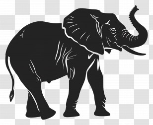 Elephant Trunk Up Silhouette - Black Elephant Silhouette Transparent PNG