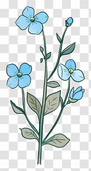 Forget Me Not - Delicate Blue Flower Stem Design Transparent PNG