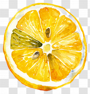 Half Lemon - Watercolor Illustration Of A Lemon Slice Transparent PNG