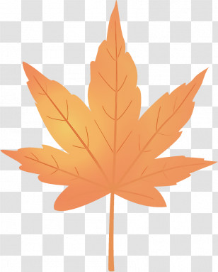 Maple Leaf Autumn Leaf Yellow Leaf Transparent PNG