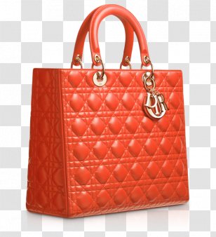 bum bag dior