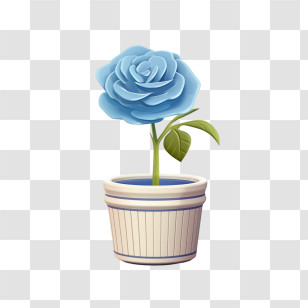 Blue Rose - Beautiful Blue Rose In A Pot Transparent PNG
