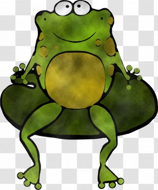 Green Frog Cartoon Toad Hyla - True - Tree Bullfrog Transparent PNG