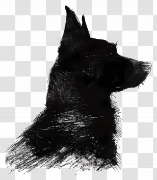 Dog Silhouette - Black Silhouette Of A Dog Transparent PNG