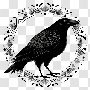 Crow - Black Raven Silhouette Design Transparent PNG