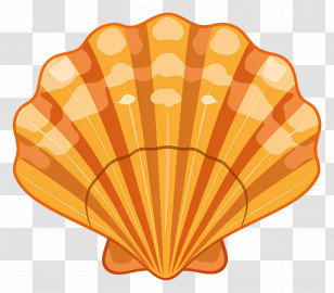 Seashell - Orange Seashell Illustration Transparent PNG