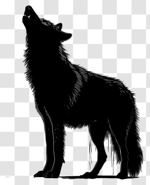 Wolf Silhouette - Silhouette Of A Howling Wolf Transparent PNG