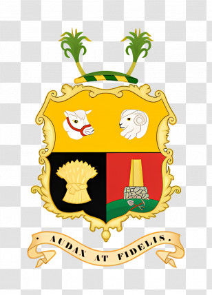 Queensland Government Logo - Traditional Coat Of Arms Transparent PNG