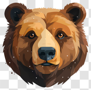 Bear Portrait - Detailed Bear Face Illustration Transparent PNG