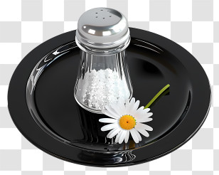 Salt Shaker - Salt Shaker And Daisy On Black Plate Transparent PNG