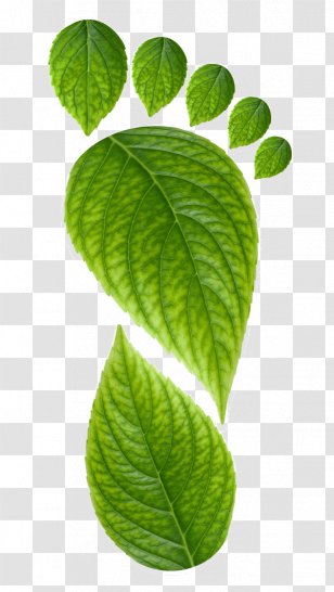 Environmentally Friendly Logo Ecotourism Sustainability Sustainable Tourism - Packaging - Foot Print Transparent PNG