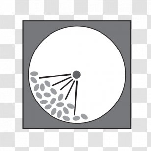 Freund-Vector Corporation Film Coating Tableting - Pelletizing Transparent PNG
