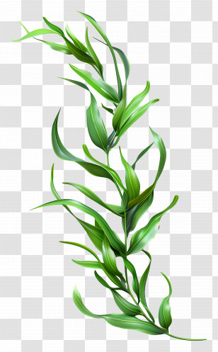 Grass Long - Realistic Green Leaf Plant Illustration Transparent PNG