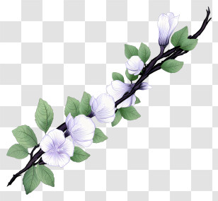 Painting - Beautiful Flowering Branch Transparent PNG