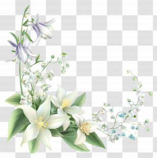 Columbine - Elegant White And Green Floral Corner Transparent PNG