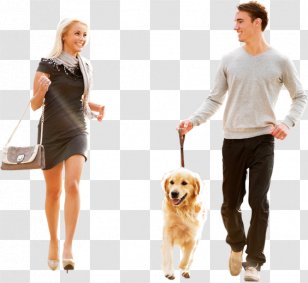 Puppy Great Dane Purebred Dog Walking Woman - Breed Transparent PNG
