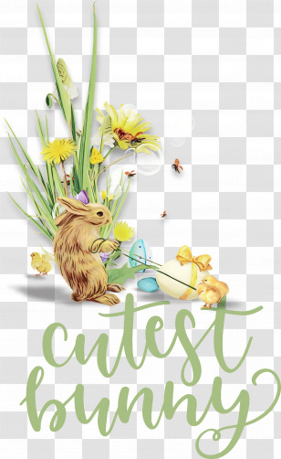 Easter Bunny Transparent PNG