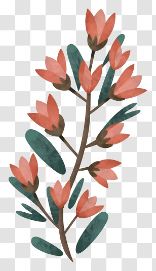 Potted Plant - Flowering Branch Illustration Transparent PNG