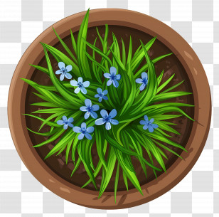 Plants Top View - Potted Plant With Blue Flowers Transparent PNG