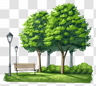 City Park Scene - Park Scene With Trees And Bench Illustration Transparent PNG
