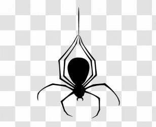 Spider Halloween - Pest - Design Elements Transparent PNG
