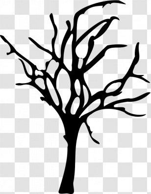 Tree Drawing Snag Clip Art - Twig - Hand Drawn Transparent PNG