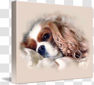 Pug French Bulldog Cavalier King Charles Spaniel Puppy Cushion Carnivoran Transparent Png Pug French Bulldog Cavalier King Charles Spaniel Puppy Cushion Carnivoran Transparent Png