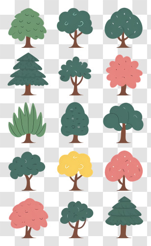 Trees - Cartoon Variety Of Tree Species Illustration Transparent PNG