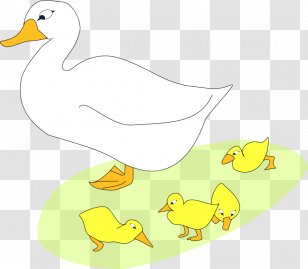 Duck Goose Drawing Family Clip Art - Silhouette Transparent PNG