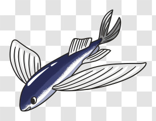 Fish - Flying Fish Illustration Transparent PNG