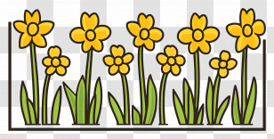 Daffodil Border - Yellow Flowers In Garden Transparent PNG