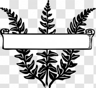 Scroll Clip Art - Tree - Cliparts Logo Transparent PNG