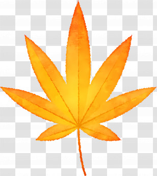Autumn Leaf - Bright Orange Maple Leaf Illustration Transparent PNG