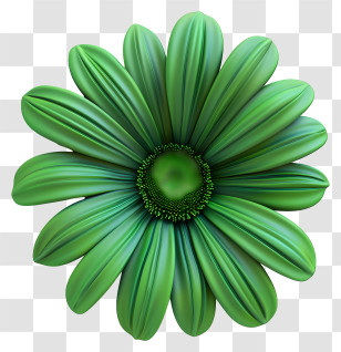 Transvaal Daisy - Unique Green Flower Design Transparent PNG