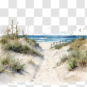 Beach Walking Road - Sandy Beach Path To The Ocean Transparent PNG