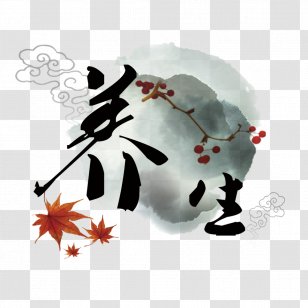 Traditional Chinese Medicine Poster Download - Qi - Creative Health Transparent PNG