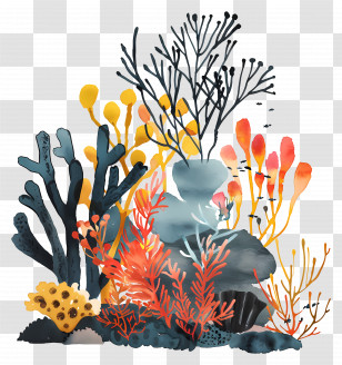 Coral Reef - Colorful Underwater Coral Plants Illustration Transparent PNG