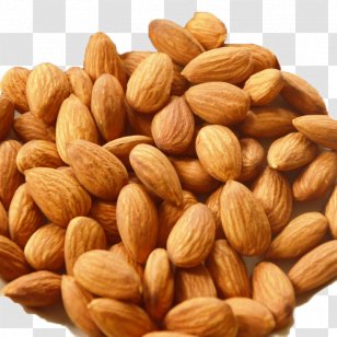Nut Almond Butter Apricot Kernel Food Transparent PNG