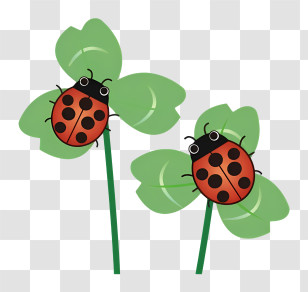 Flower - Cute Ladybugs On Green Leaves Transparent PNG