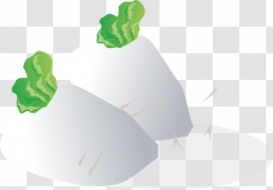 Cough Simmering Sore Throat Food Rhinorrhea - Radish Vegetable Category Grass Transparent PNG