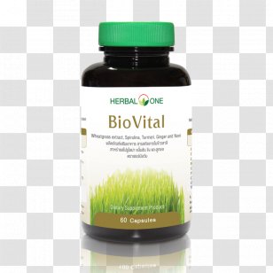 Dietary Supplement Herb Drumstick Tree Capsule Ouay Un Osoth Co., Ltd. - Co Ltd - Health Transparent PNG