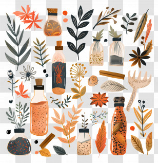 Herbs And Spices - Autumn Leaves And Decor Elements Illustration Transparent PNG