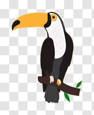 Bird Parrot - Colorful Toucan On A Branch Transparent PNG