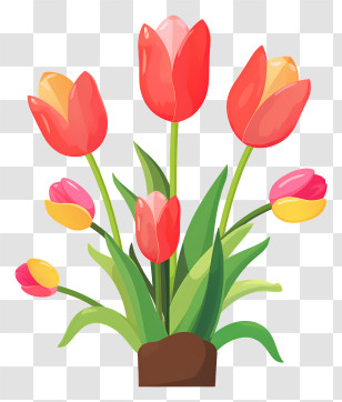 Flowers - Vivid Tulip Flowers Illustration For Decor Transparent PNG