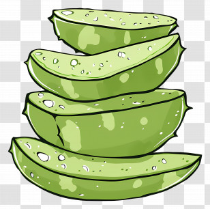 Aloe Vera Slices - Aloe Vera Slices Transparent PNG