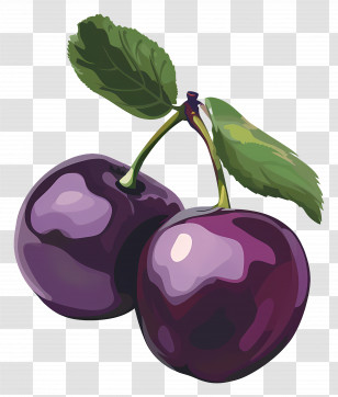 Plum - Illustration Of Purple Plums With Green Leaves Transparent PNG