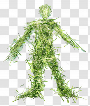 Abstract Man - Grass Figure Illustration Transparent PNG